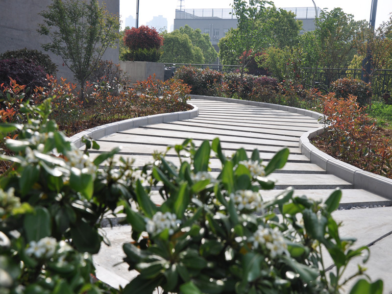 k8.com(中国区)官方网站