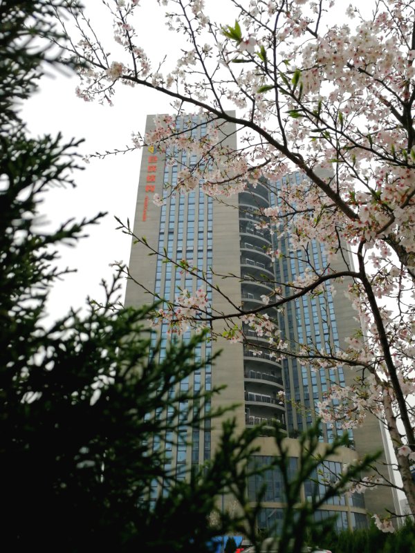 k8.com(中国区)官方网站