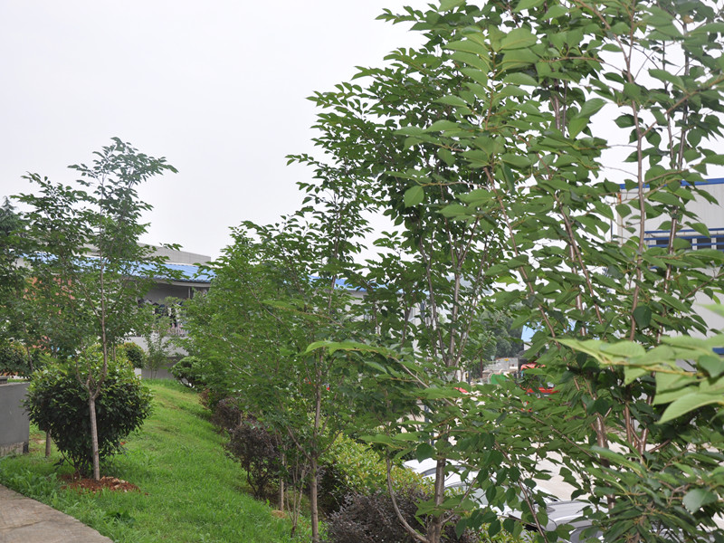 k8.com(中国区)官方网站