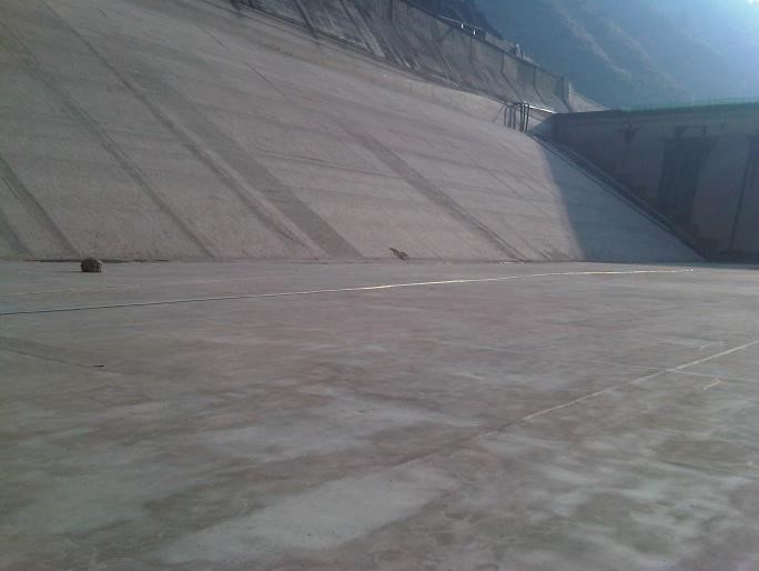 k8.com(中国区)官方网站