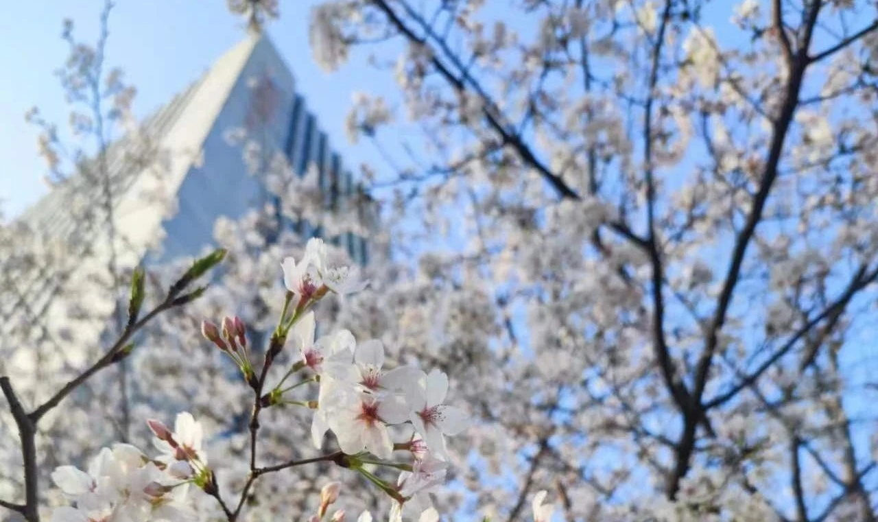 k8.com(中国区)官方网站